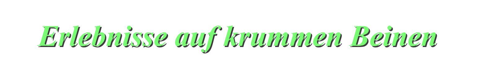      Erlebnisse auf krummen Beinen