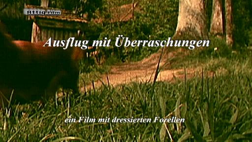 Webforelle Trailer-Webfilm MPEG-4